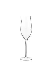 CALICE FLUTE PROSECCO SPUMANTE