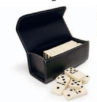 GIOCO DOMINO CON ASTUCCIO