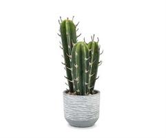 VASO CACTUS COLONNA