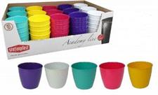 VASO ACADEMY 11CM COLORI MISTI