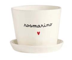 VASO ROSMARINO CUORE 15CM H12