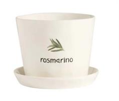 VASO ROSMARINO 15CM H12