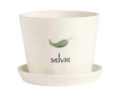 VASO SALVIA 15CM H12