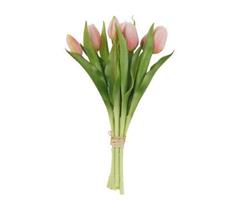 MAZZO 7 TULIPANI ROSA H300