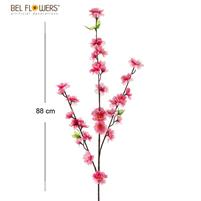 FIORI DI PESCO 88CM